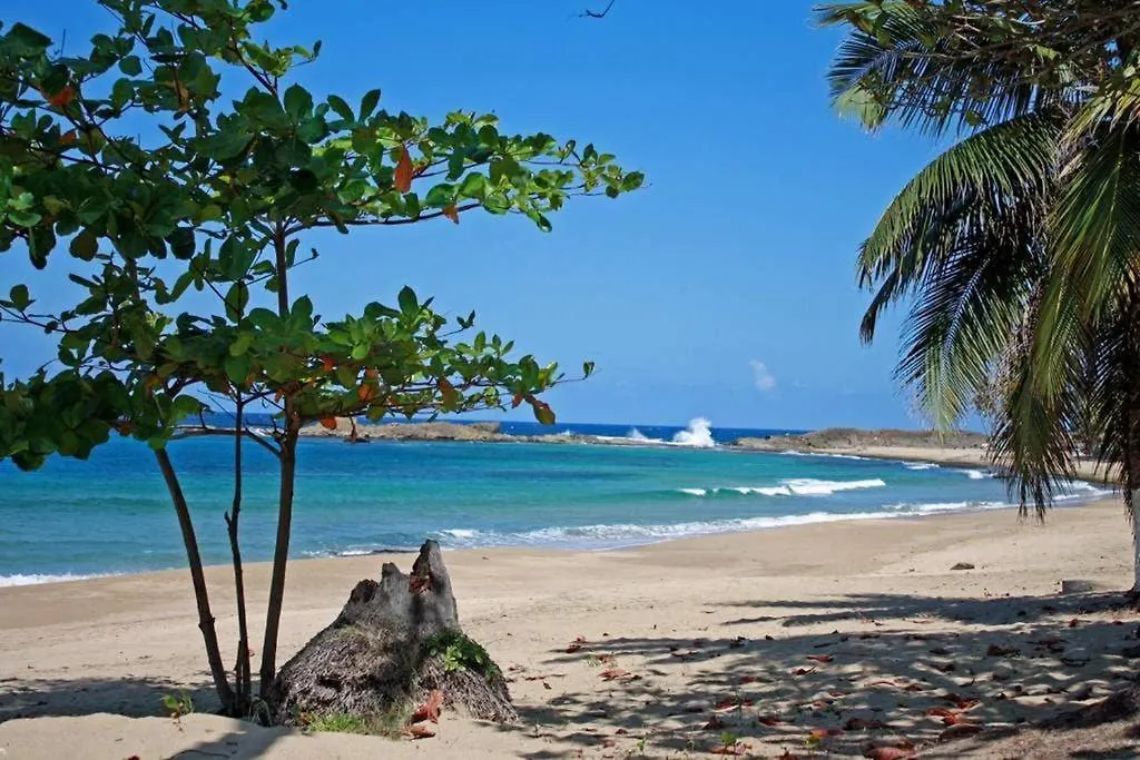 Montones Beach Apartment Isabela Puerto Rico