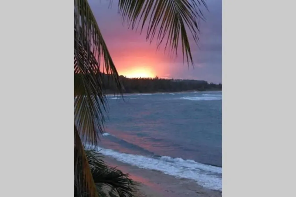 Montones Beach Apartment Isabela 0*,  Puerto Rico